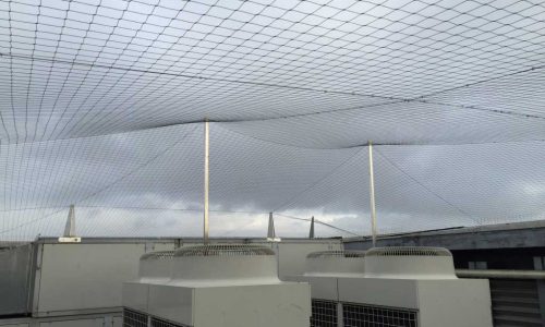 zagun-kus-koruma-filesi