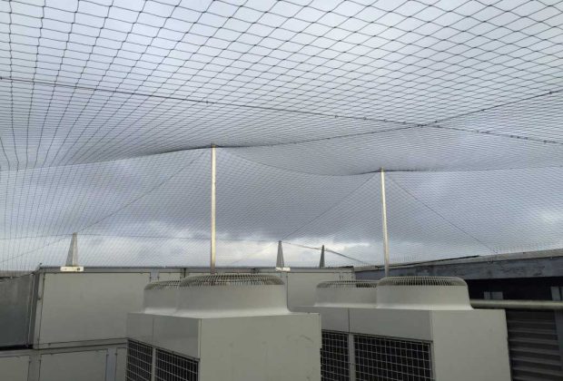 zagun-kus-koruma-filesi